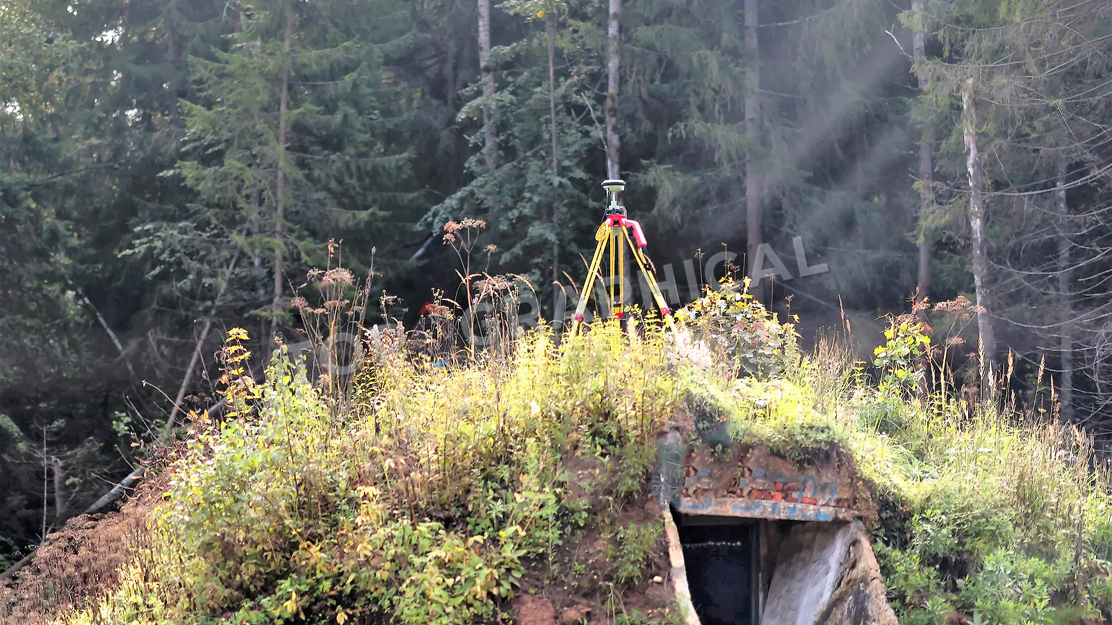 GNSS and GPS Control in Professional Survey Work